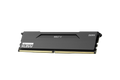 KLEVV BOLT V EXPO 32GB (2x16GB) 6000MHz C28 DDR5 Dual Channel Kit - Grey